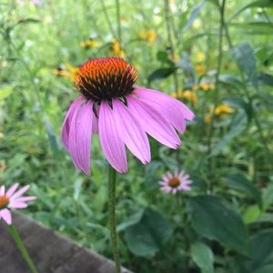 Meet your Posher, Danita